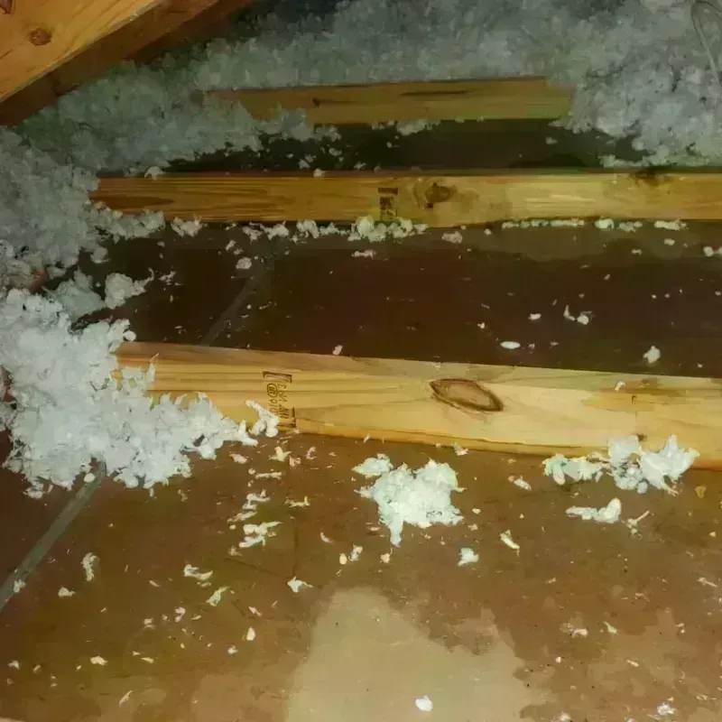 Attic Water Damage in Alden, NY